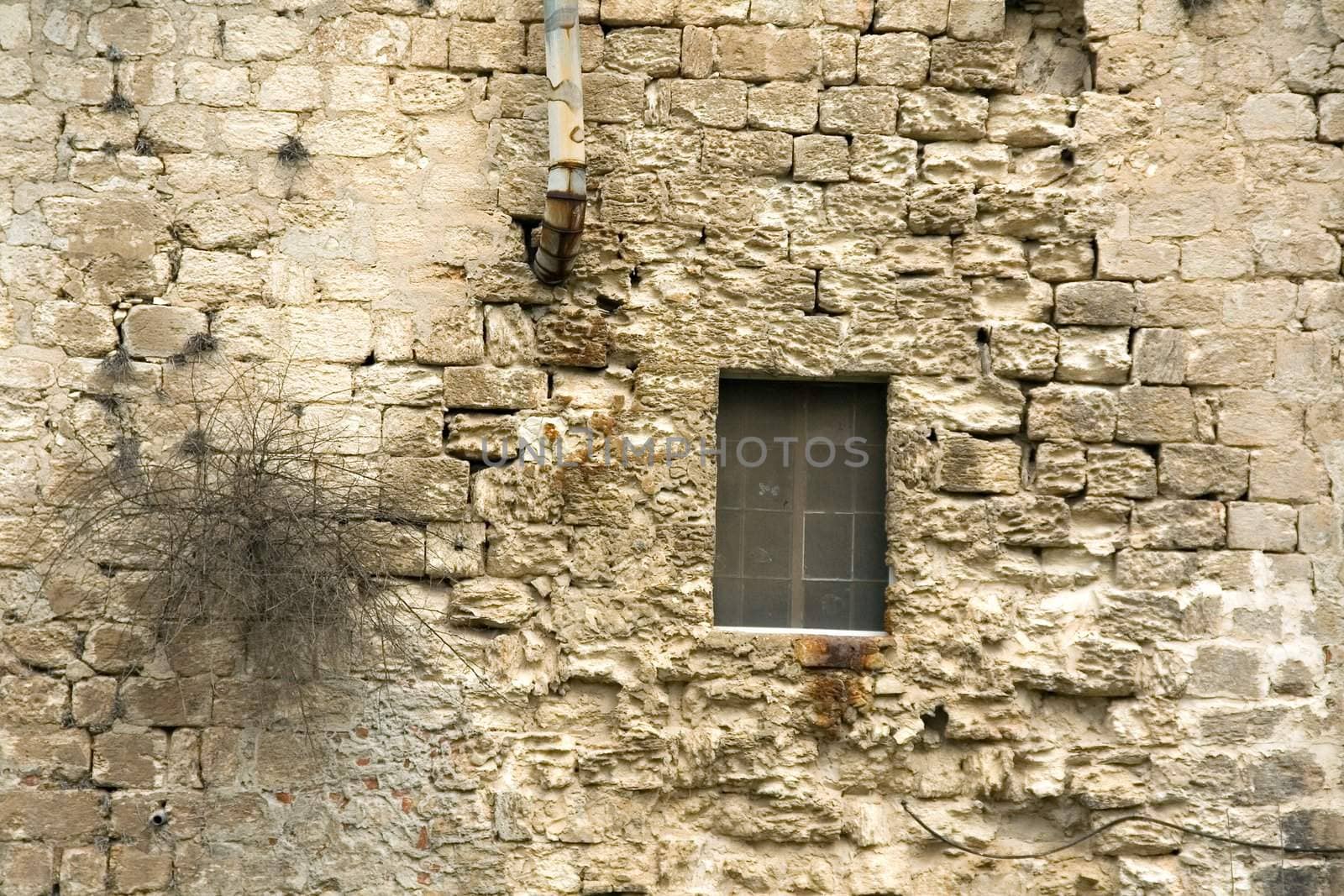 The exposed to the wind wall of an old building constructed from calcareous bricks