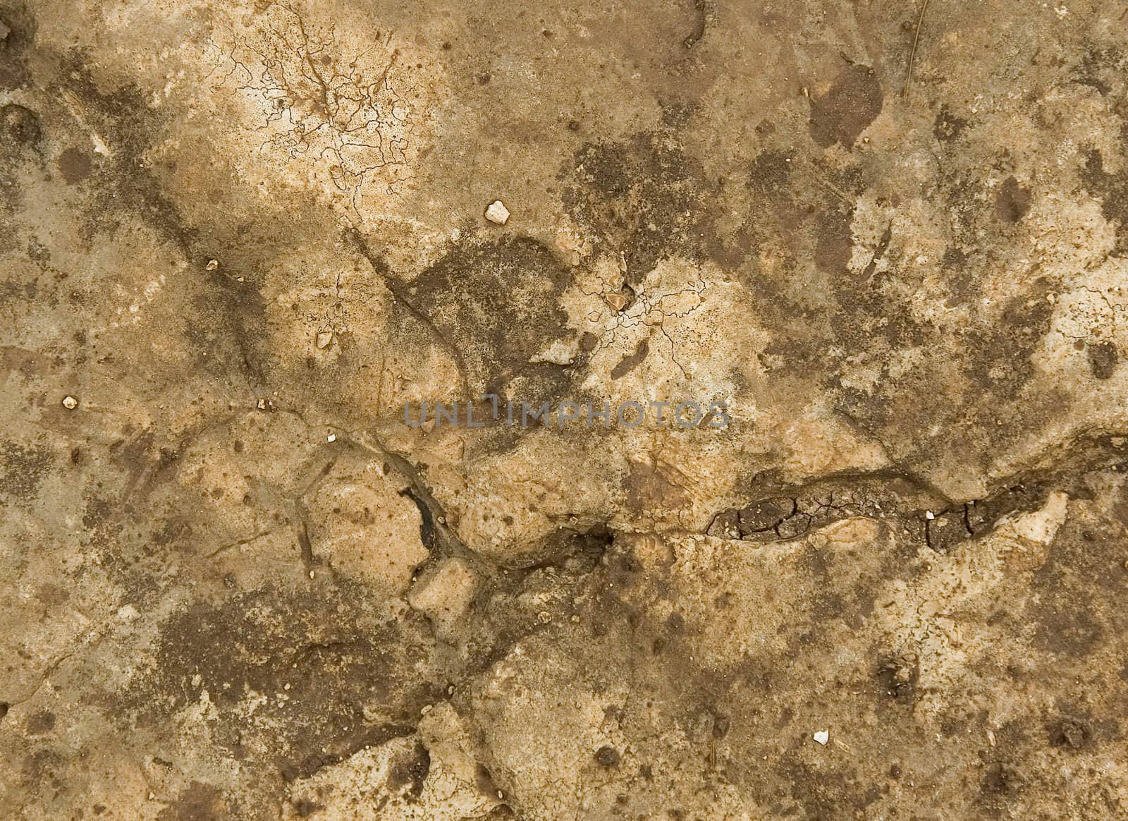 Natural texture of a stone. Abstract natural background