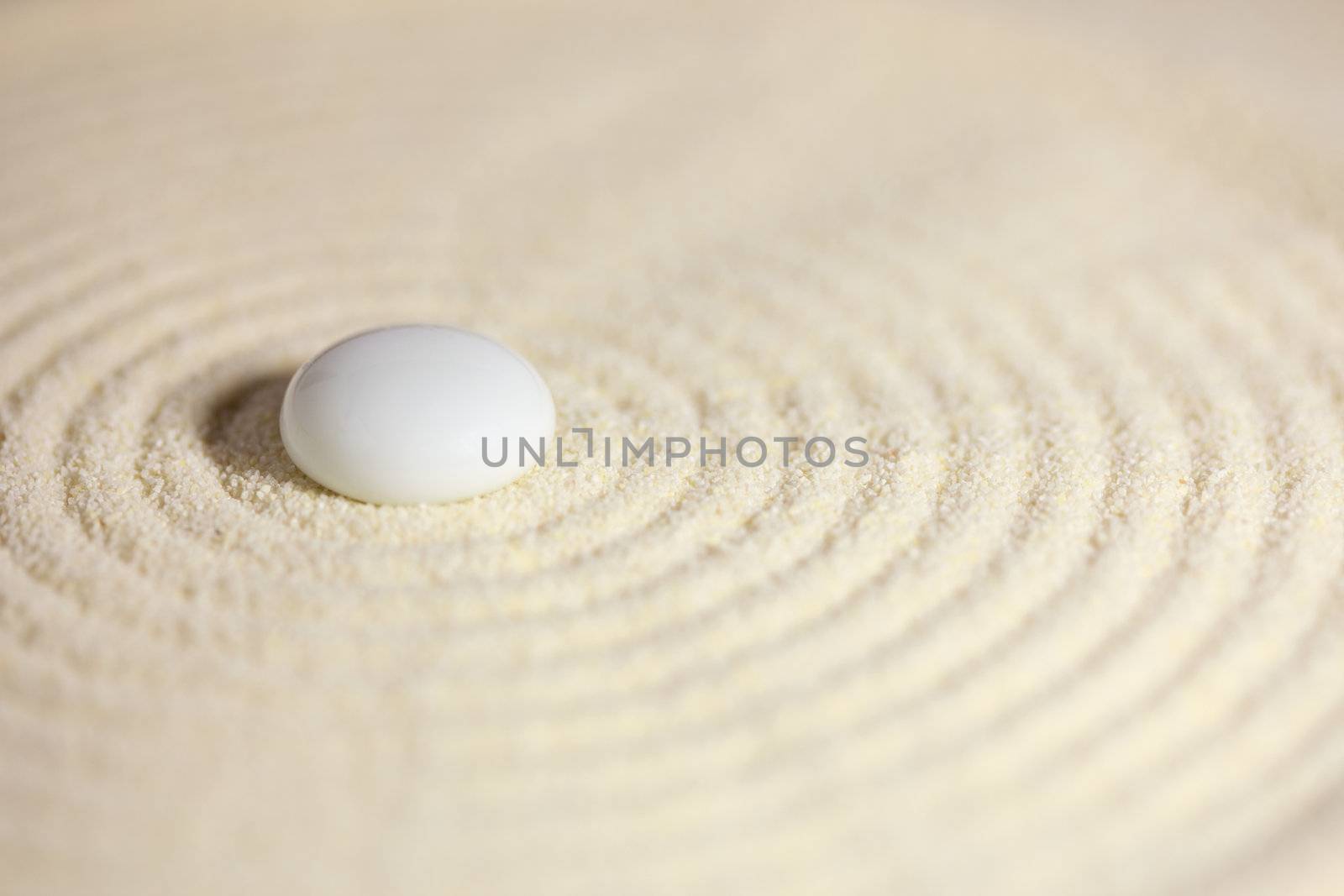The Japanese rock-garden in a miniature close up
