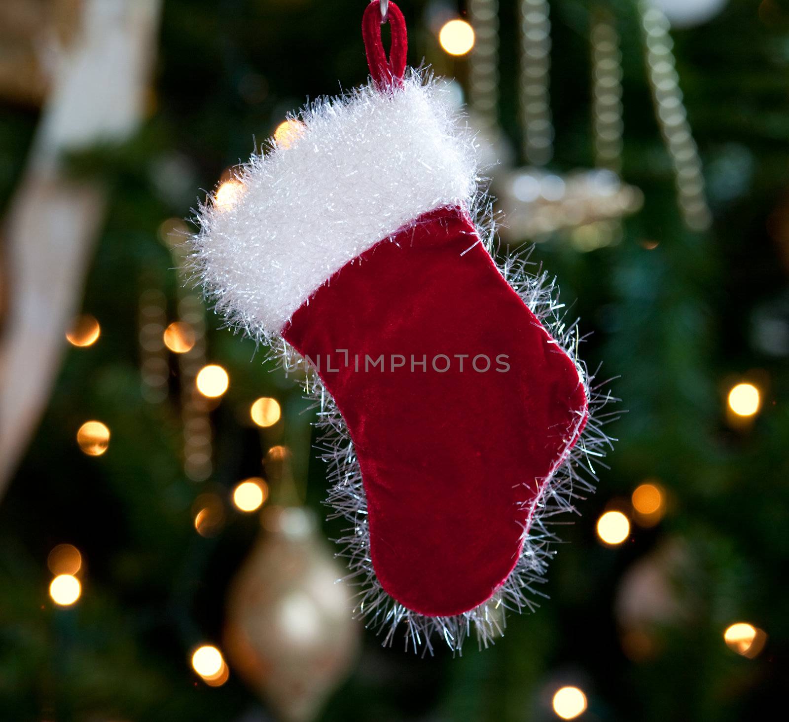 Backlit fur stocking in front of out of focus christmas tree and lights