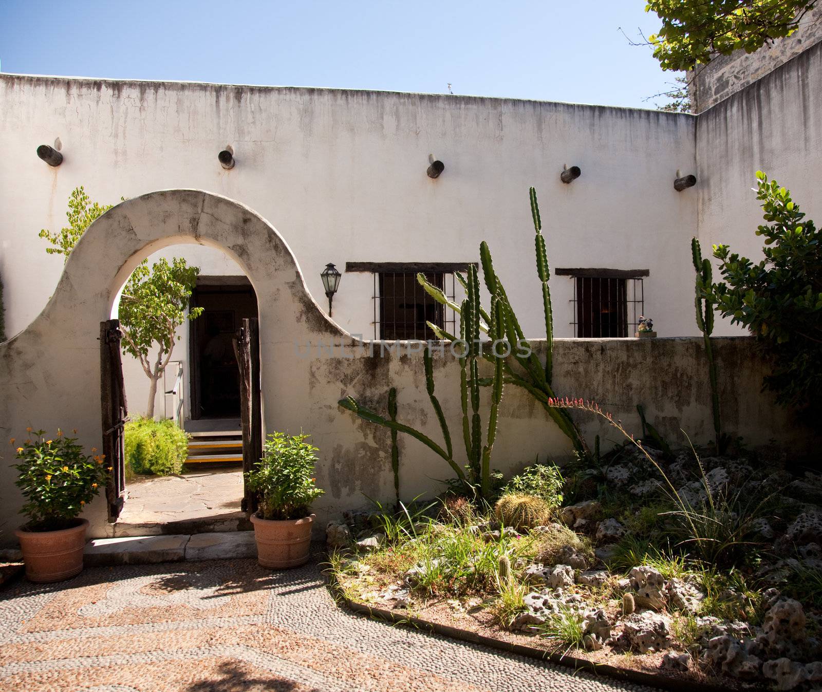 Shady garden in old Mexican house by steheap
