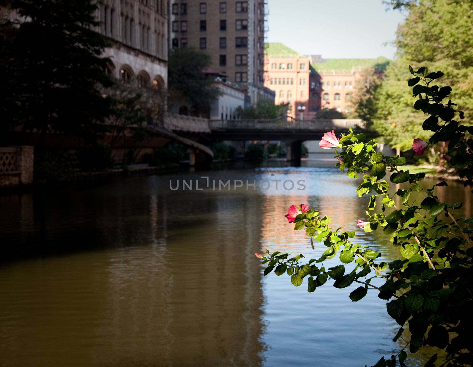 River in San Antonio with old buildings by steheap
