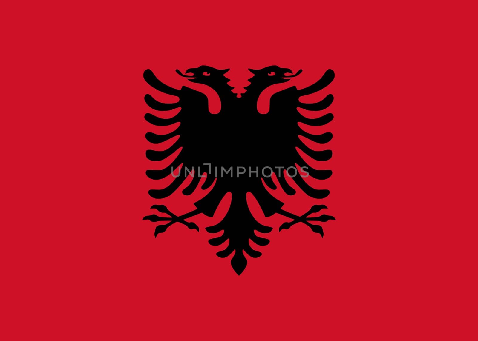 The national flag of Albania