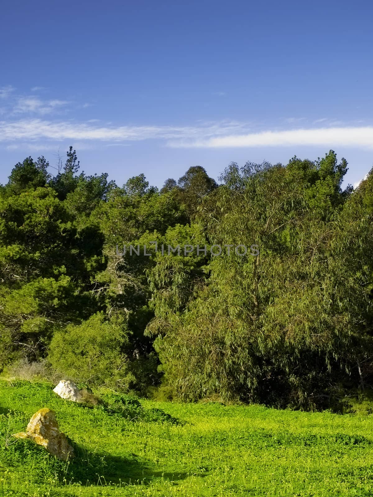 Mediterranean Countryside by PhotoWorks