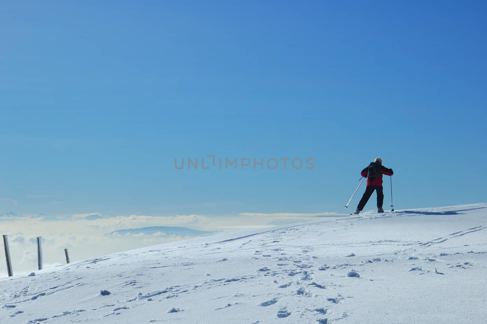 Jurassic skier by Bateleur