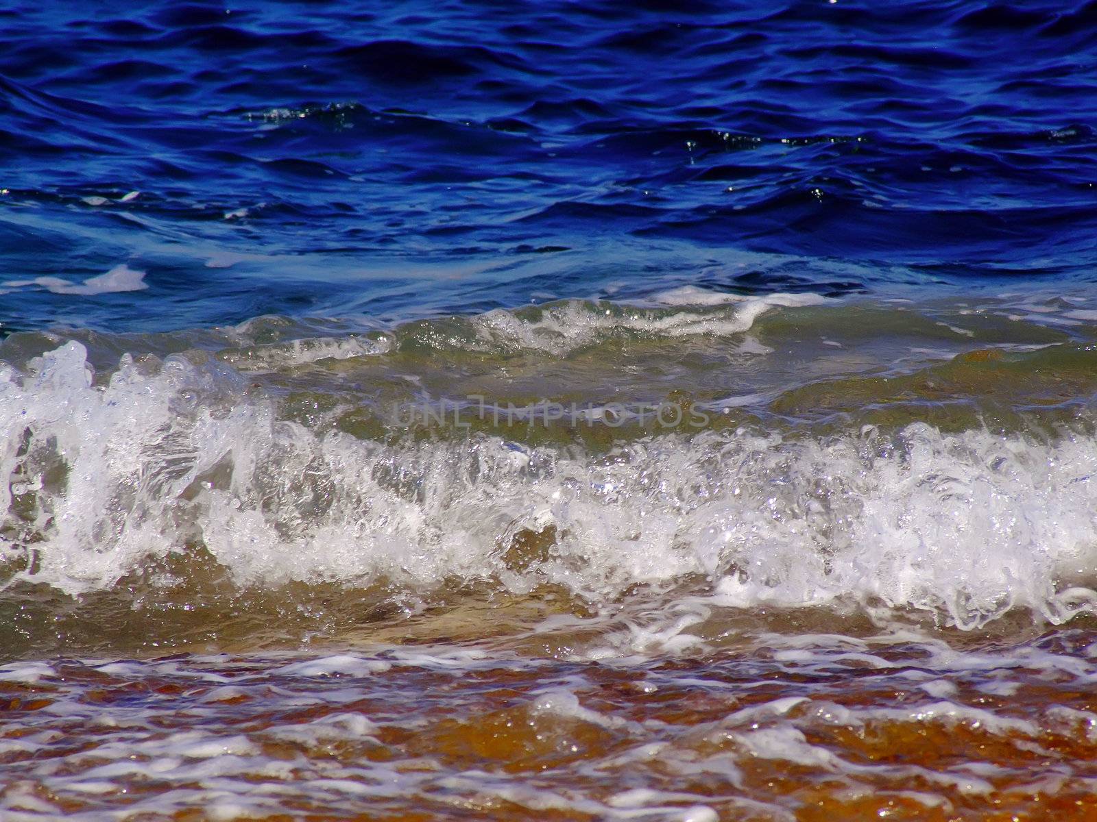 Reef Wave by PhotoWorks