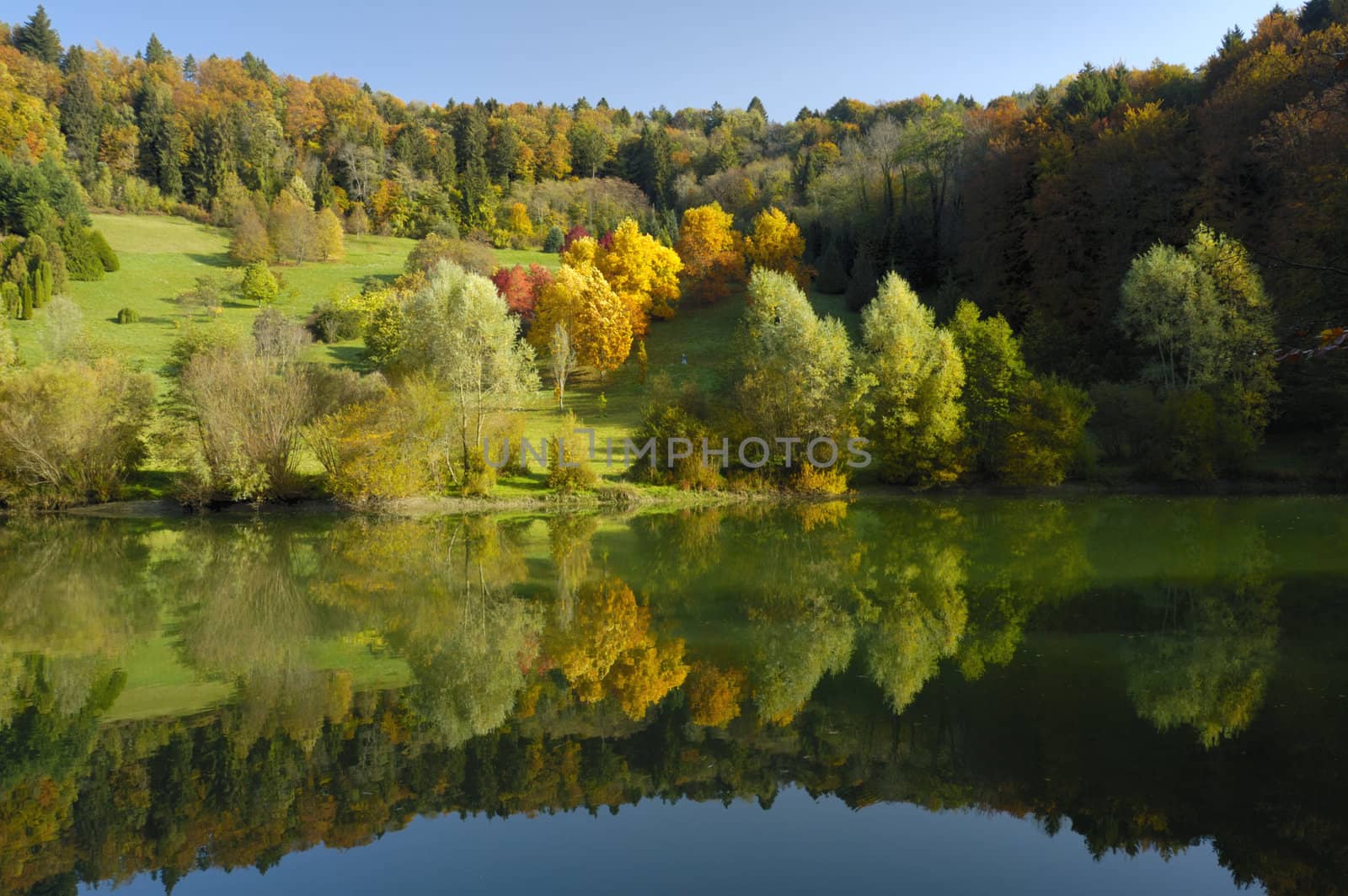 The colours of autumn in an arboretum. Taken in the early-morning light, under a clear blue sky. The flame-like colours of the trees are reflected in the stil waters of a lake. A tiny figure can be seen walking past the brightest trees.