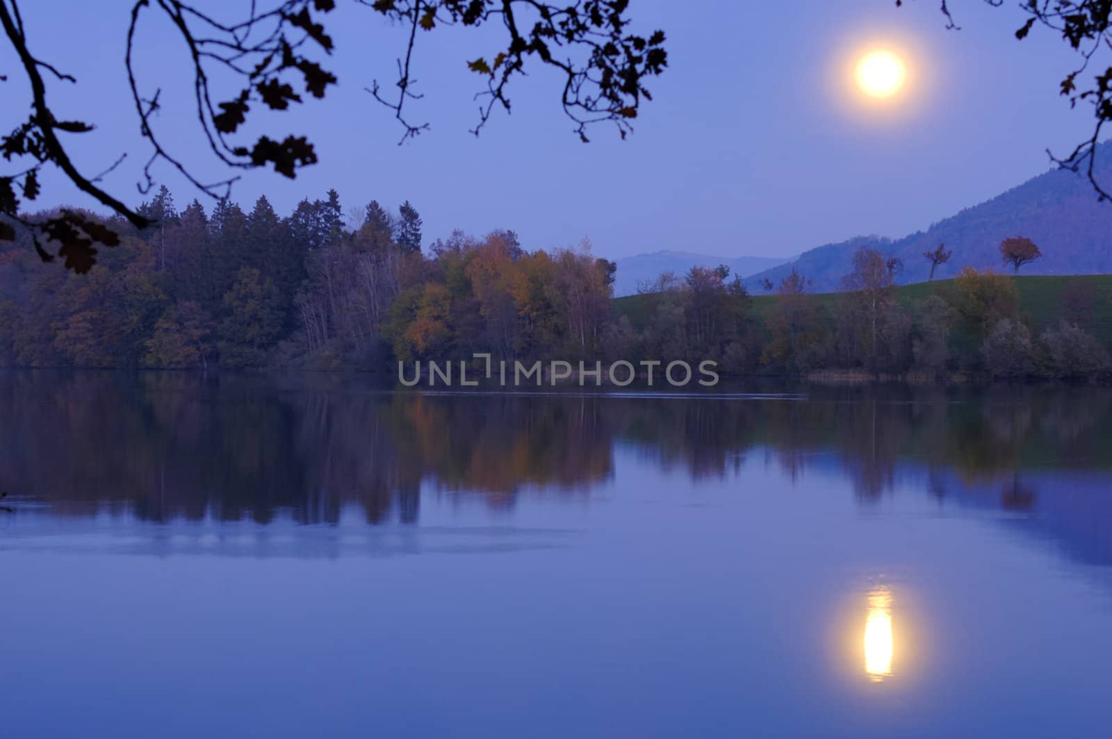 A bright full moon rising over a calm lake, framed by the branches of an oak tree in the foreground.. Space for text on the water of the lake.