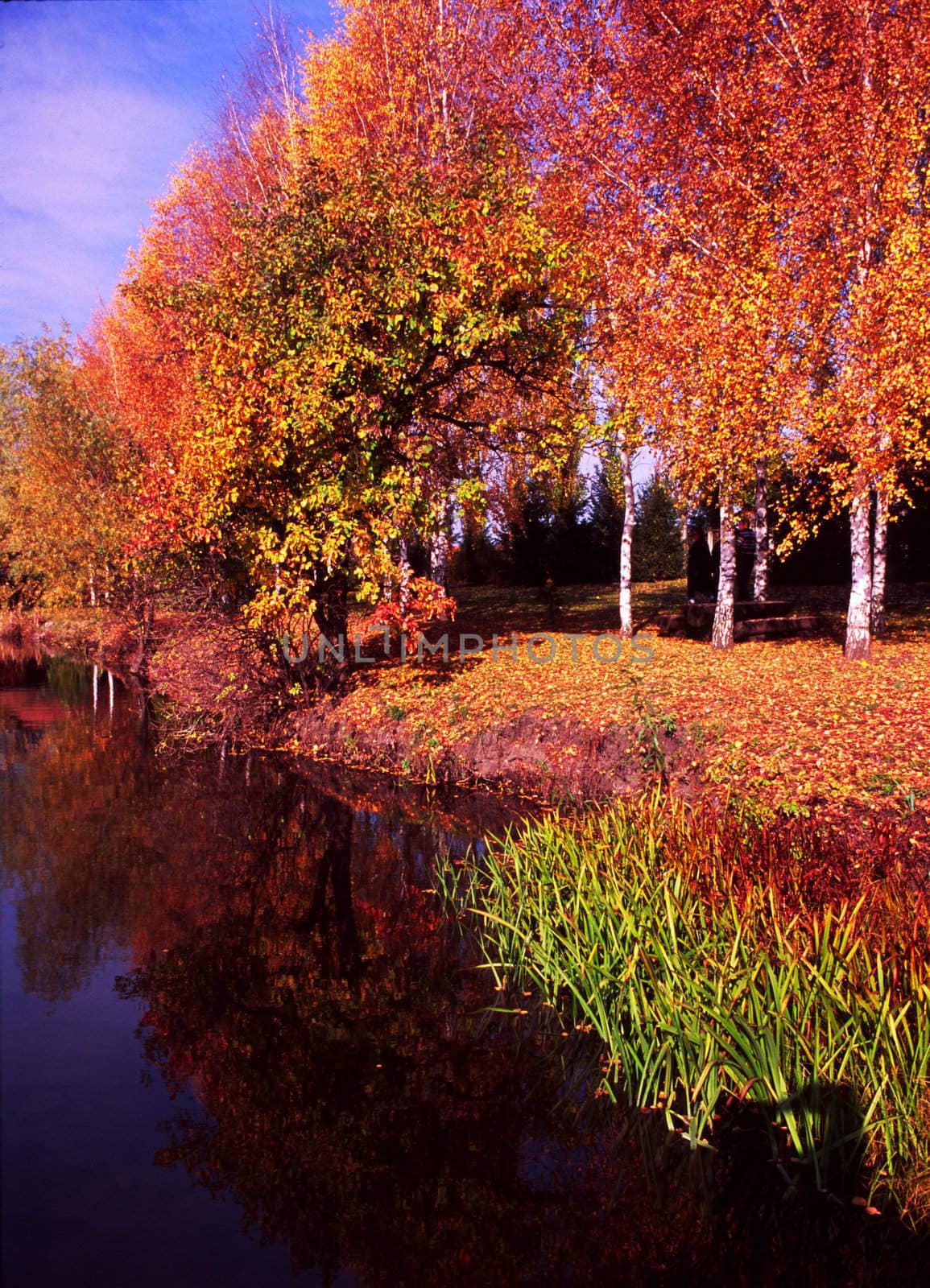 Bank of the river in autumn. Magic of nature colors/