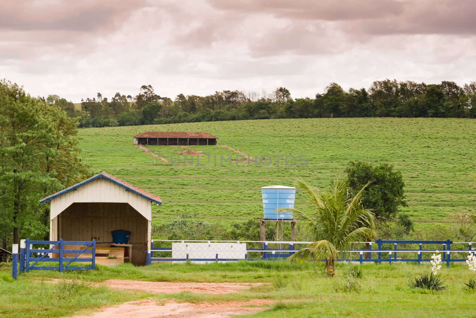 Farmland with pasture and trees on western Parana State, southern Brazil.