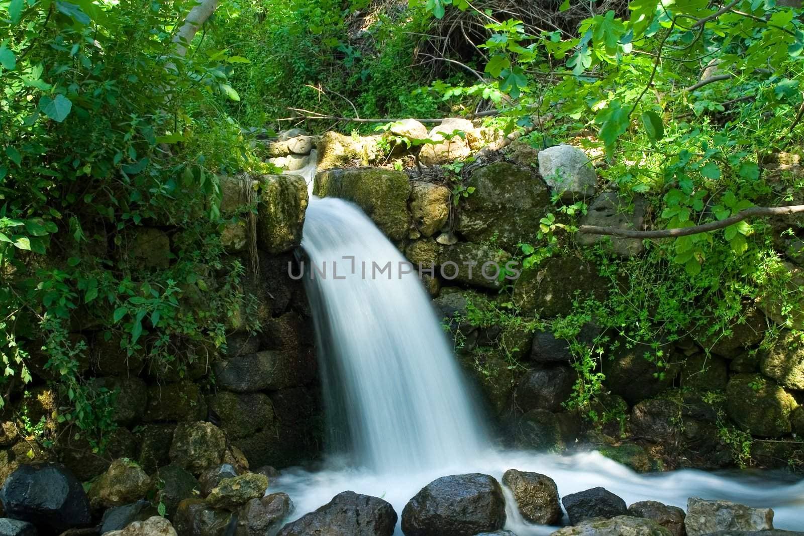 Nature Water Spring on natural background. Golan Mountains. Israel.