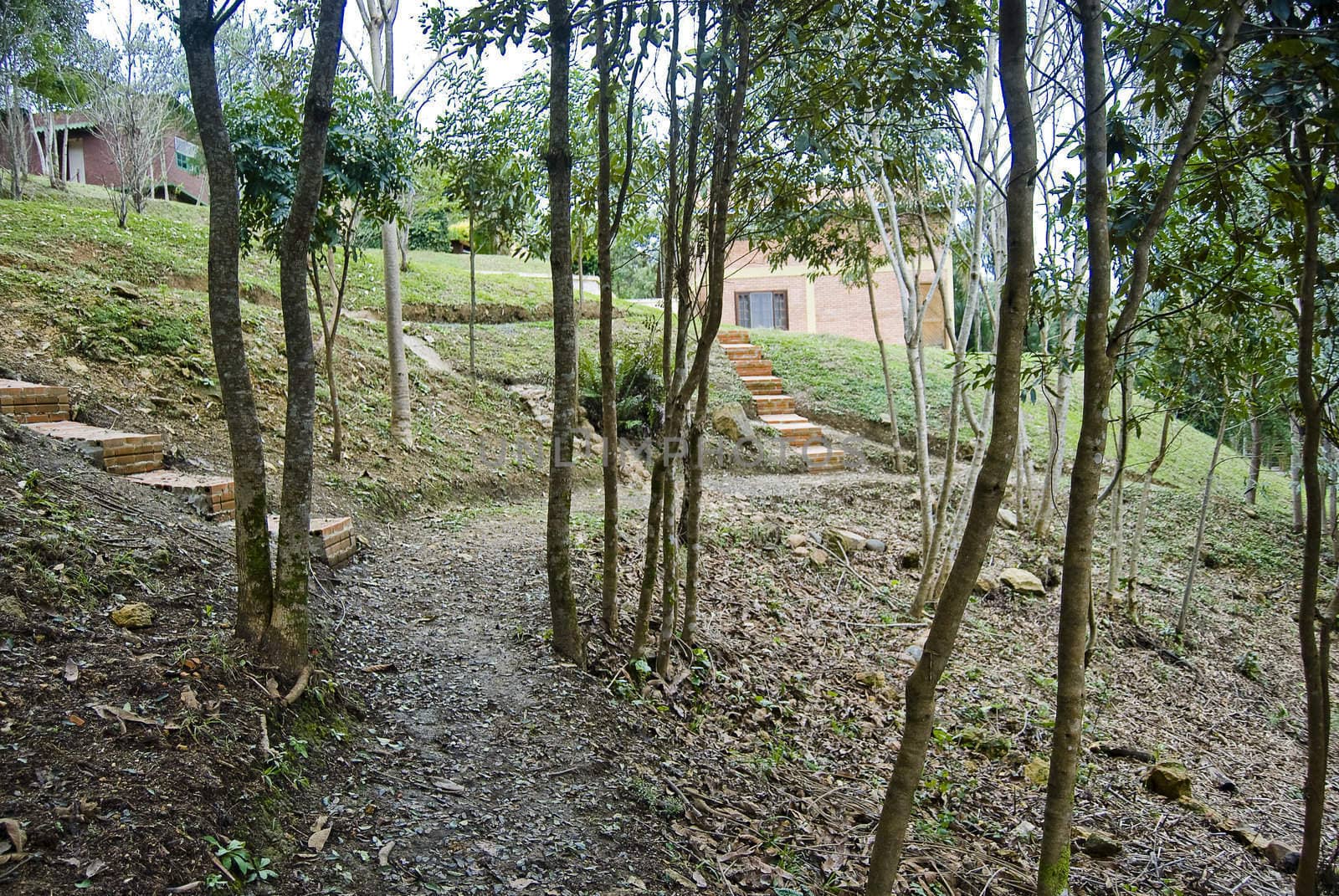 Track on the forest with houses and stairs.