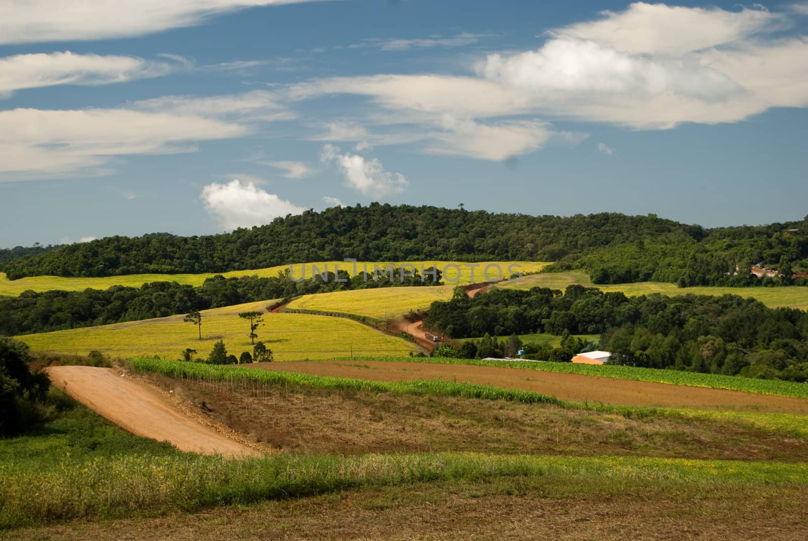 Conversion of areas of Atlantic rainforest for cattle, agriculture and forestry in the region of Araucaria forest. Parana state, southern Brazil. Deforestation is a main cause of brazilian contribution to global warming.