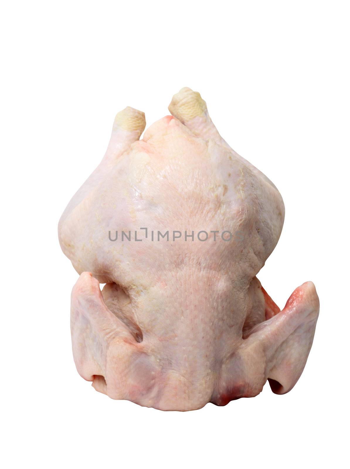 Raw chicken trunk isolated on white background with clipping path