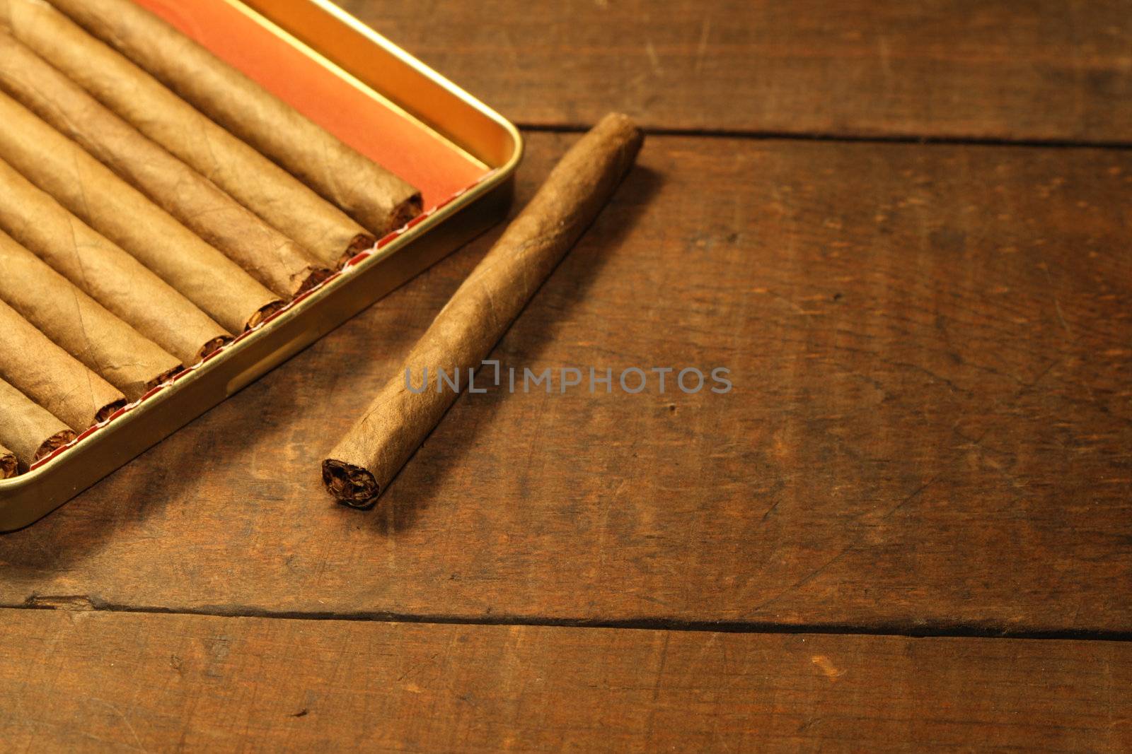 Closeup of cigars lying inside metal box on wooden background