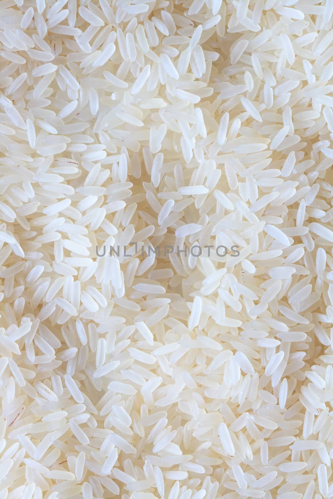 Background made from high quality long rice