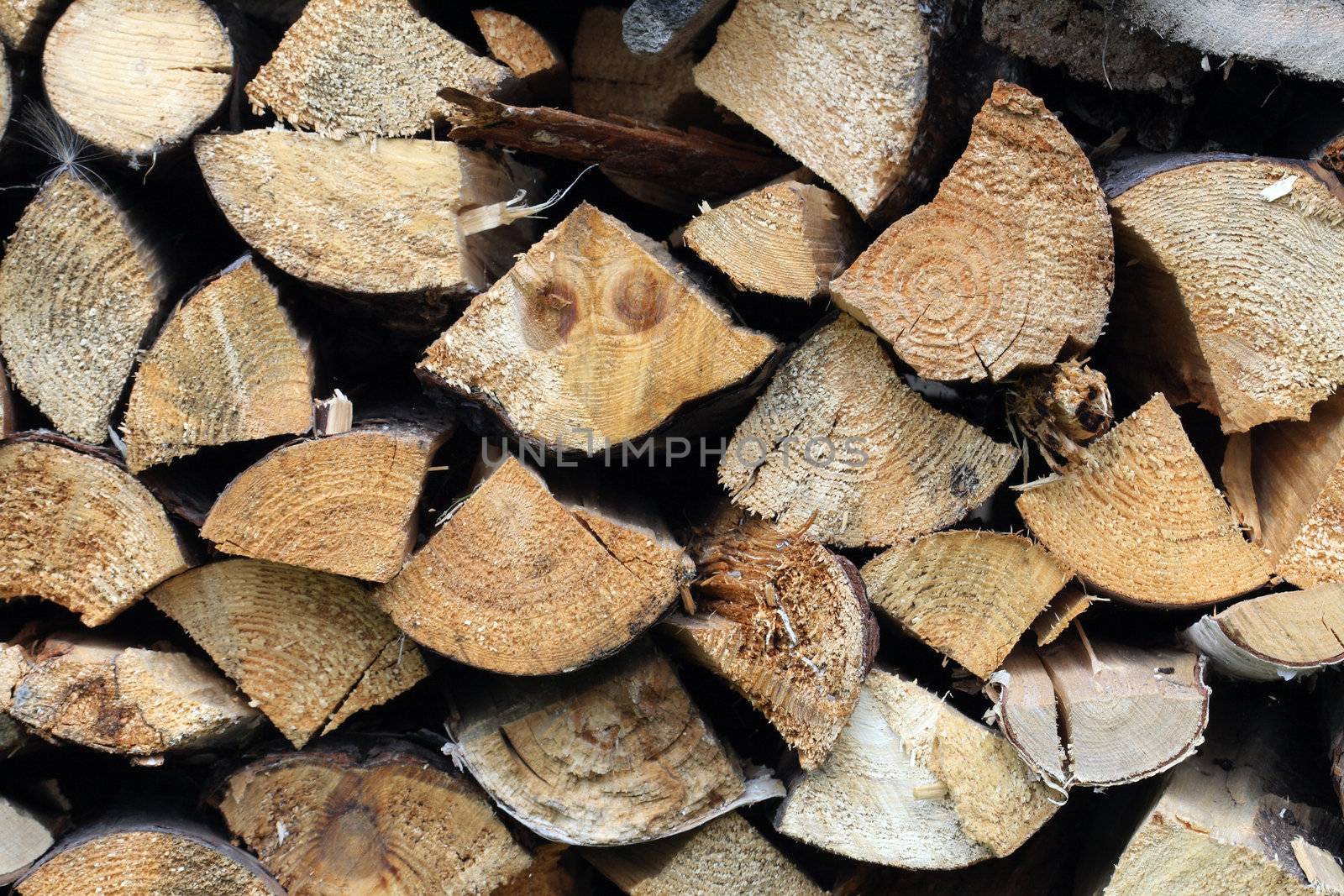Background made from pile of chopped firewood. Extreme closeup