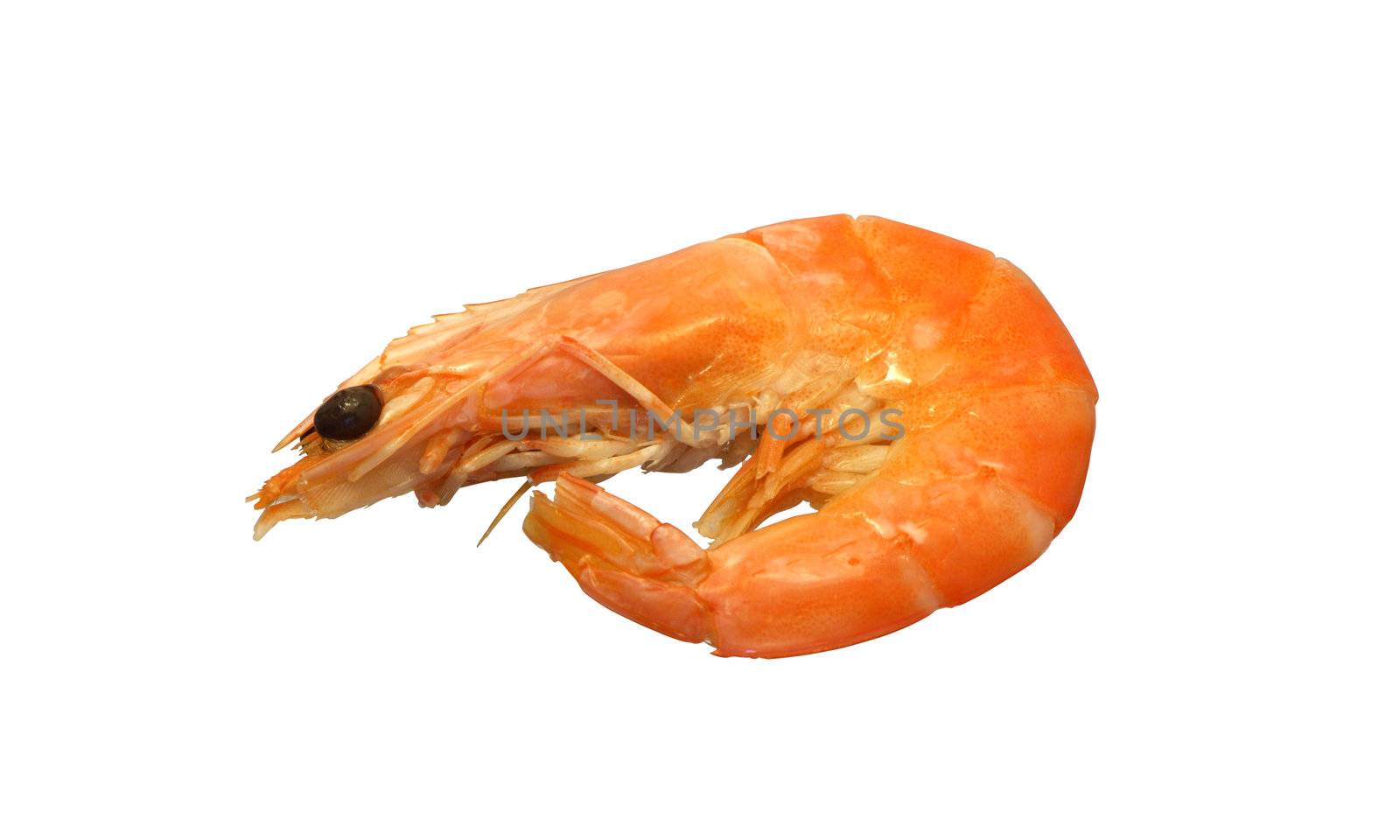 One cooked shrimp isolated on white background with clipping path