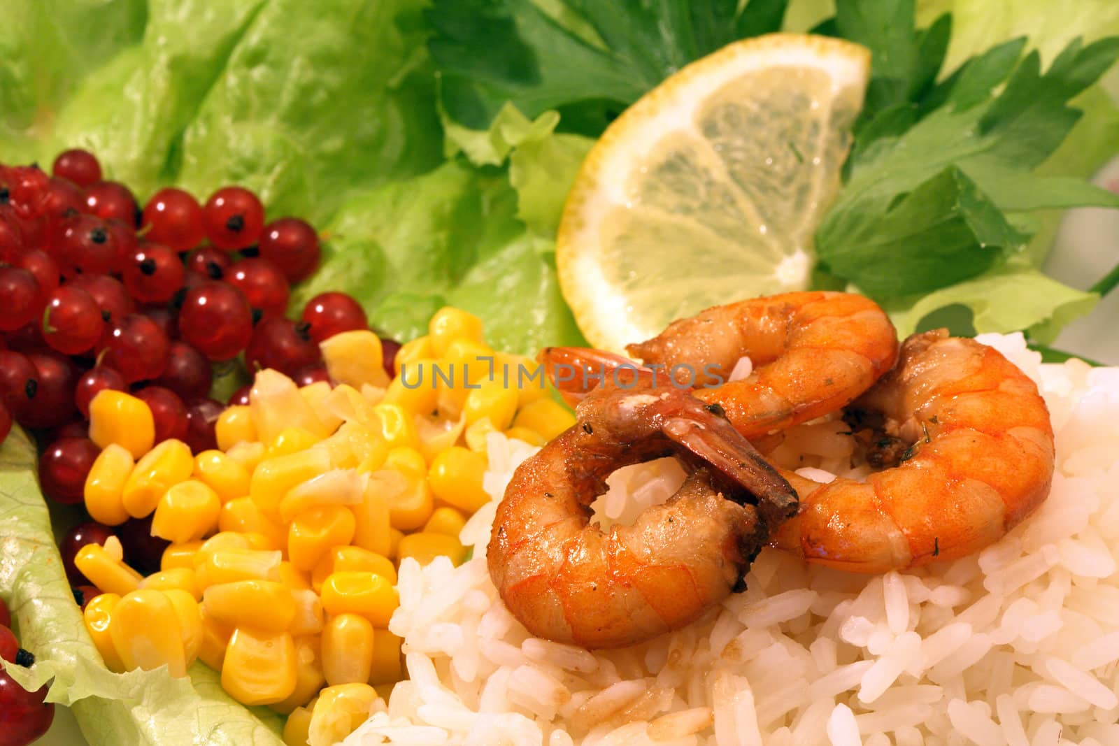 Closeup of plate with various food: shrimps,rice,corn,currants and greens