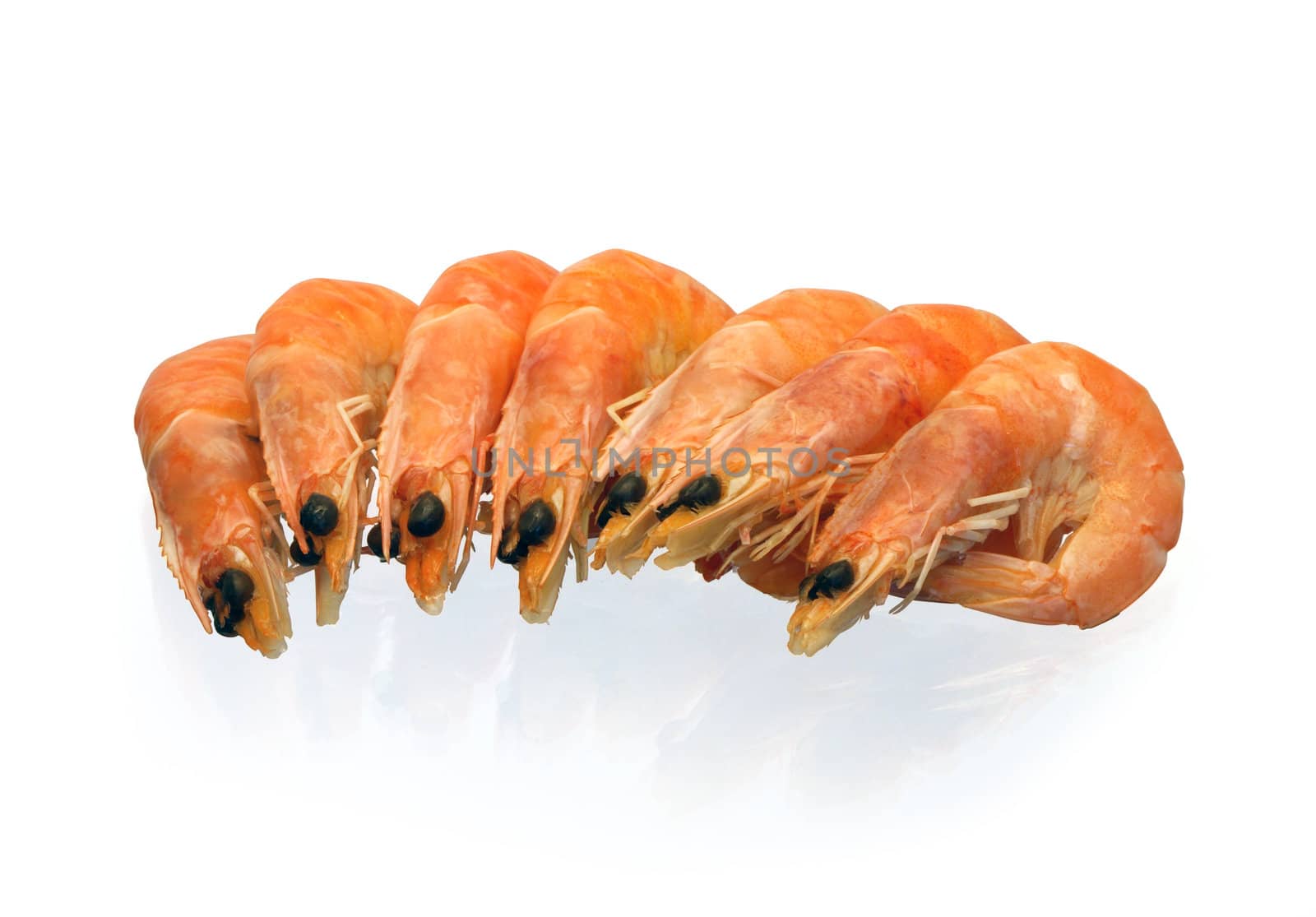 Seven cooked shrimps isolated on white background with clipping path