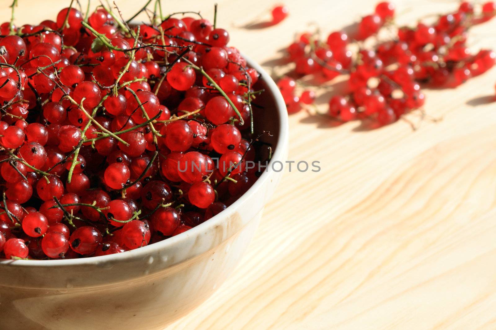 Red currants in a bowl by kvkirillov