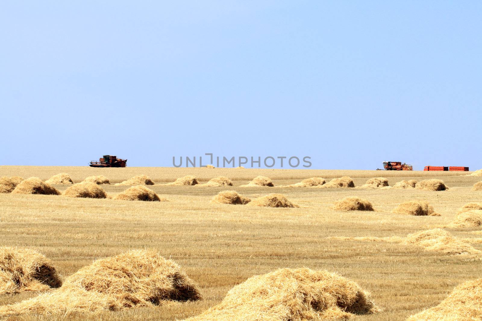 Summer landscape with grain harvester combines on the yellow farm field