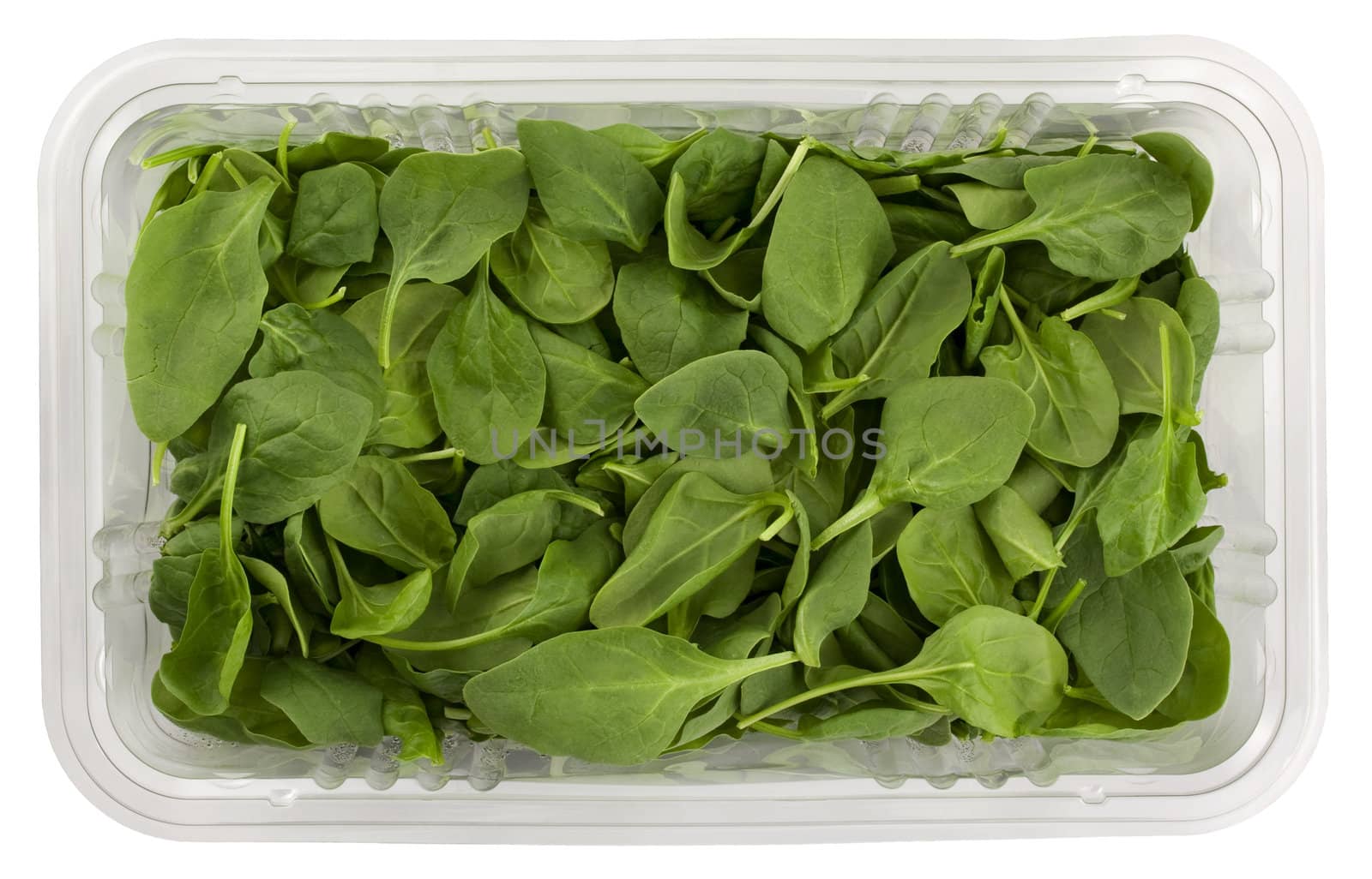 fresh green baby spinach in a clear plastic grocery box isolated on white with clipping path