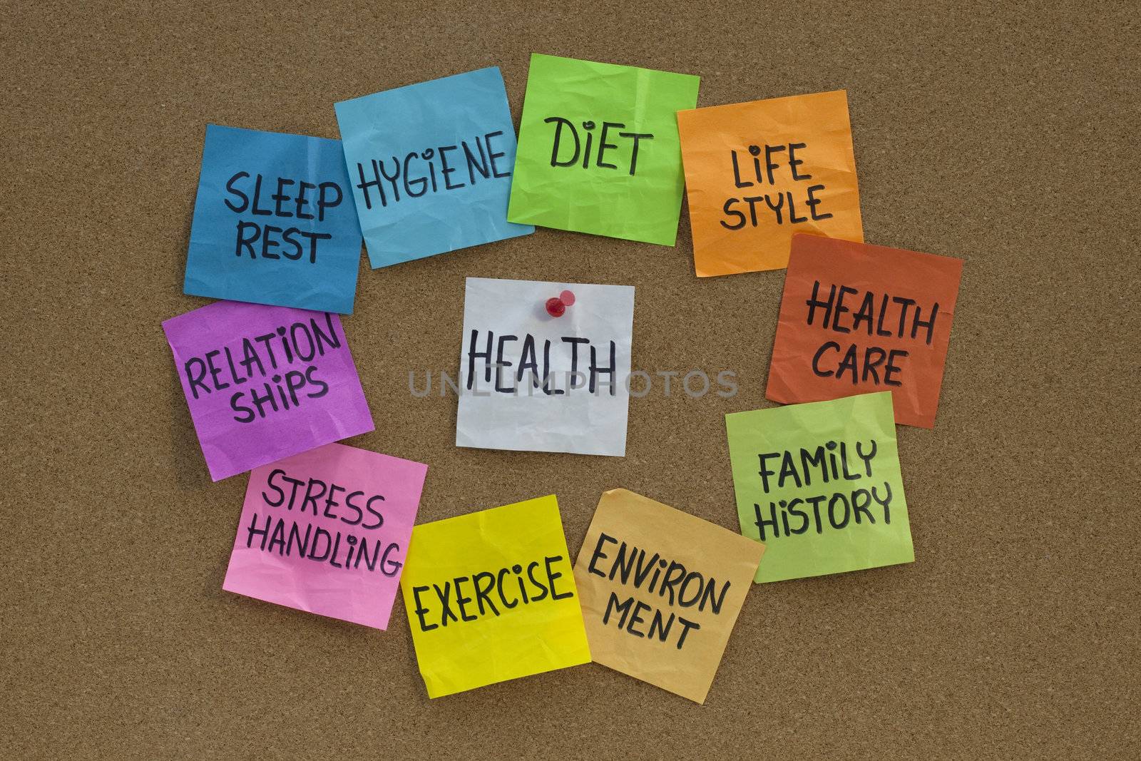 health concept - word cloud or circle of contributing factors (diet, lifestyle, healtcare, family history, environment, exercise, stress, relationships, sleep, rest, hygiene), colorful sticky notes on cork bulletin board