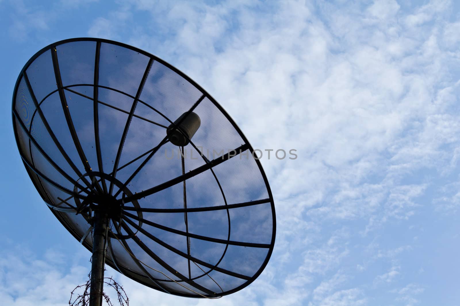 Satellite dish information signals are sent to space