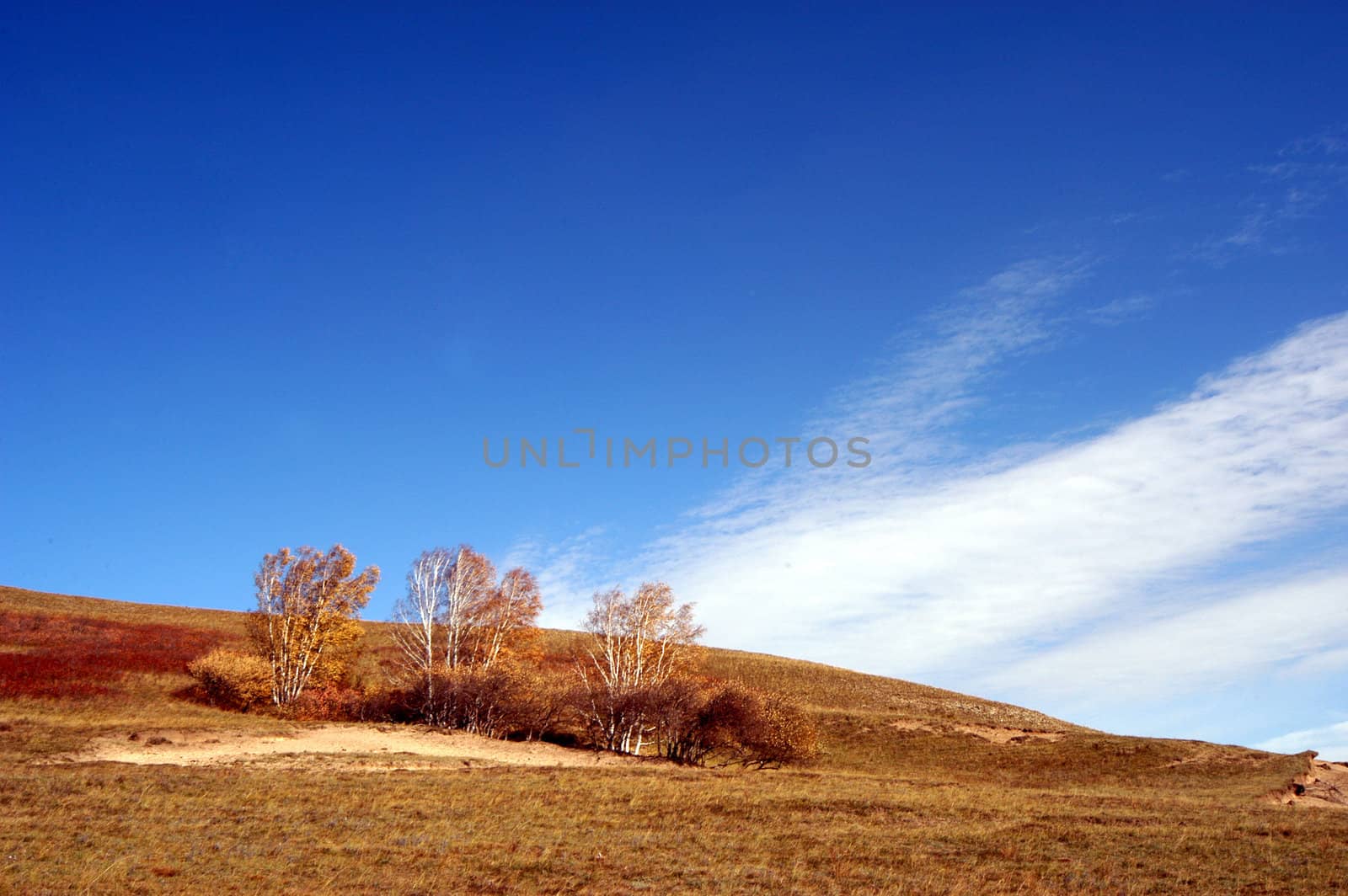 Prairie Autumn Landscape