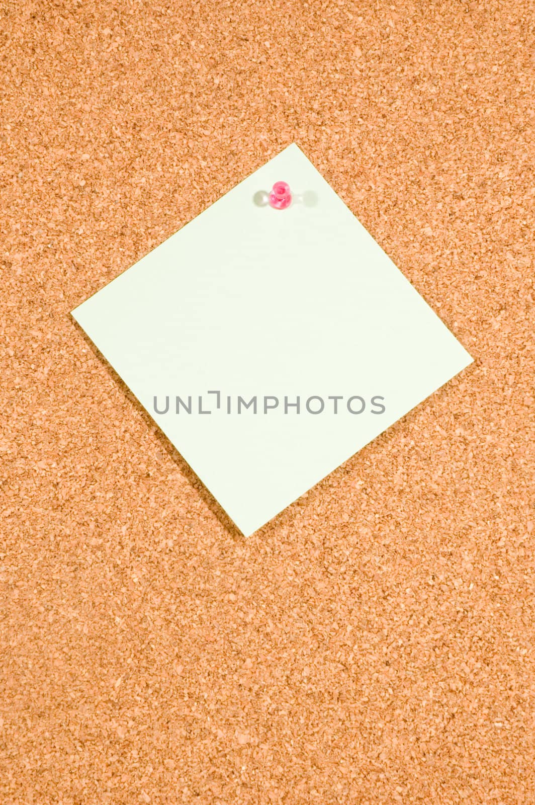 memo board with empty note  on white background by ladyminnie