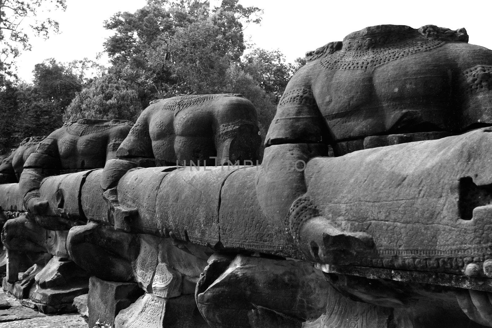 Angkor temple ruins by kjorgen