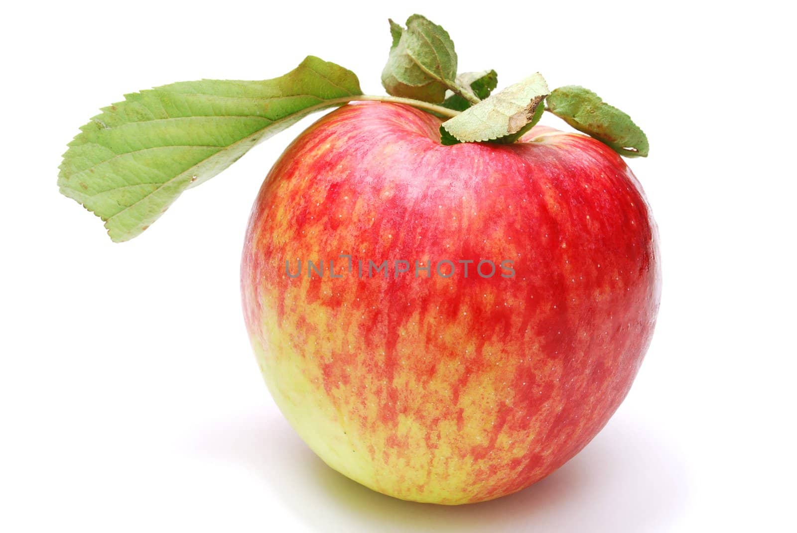 Red Apple with Leaves  Isolated on White Background