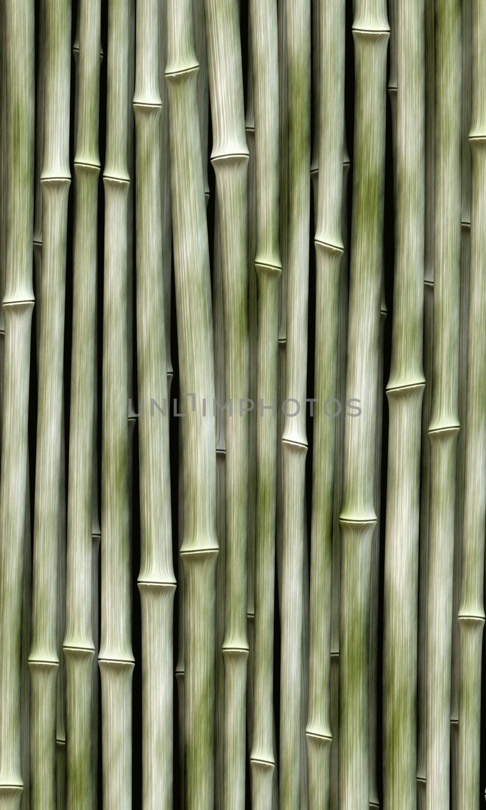 long vertical bamboo branches in a row