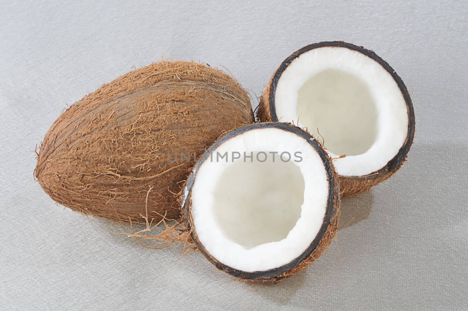 Coconut by dyoma