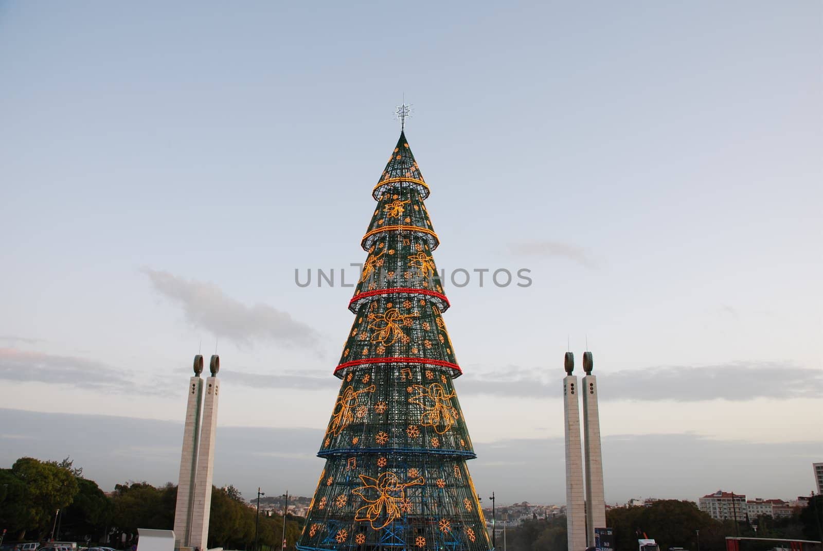 beautiful and tall Christmas tree in Lisbon
