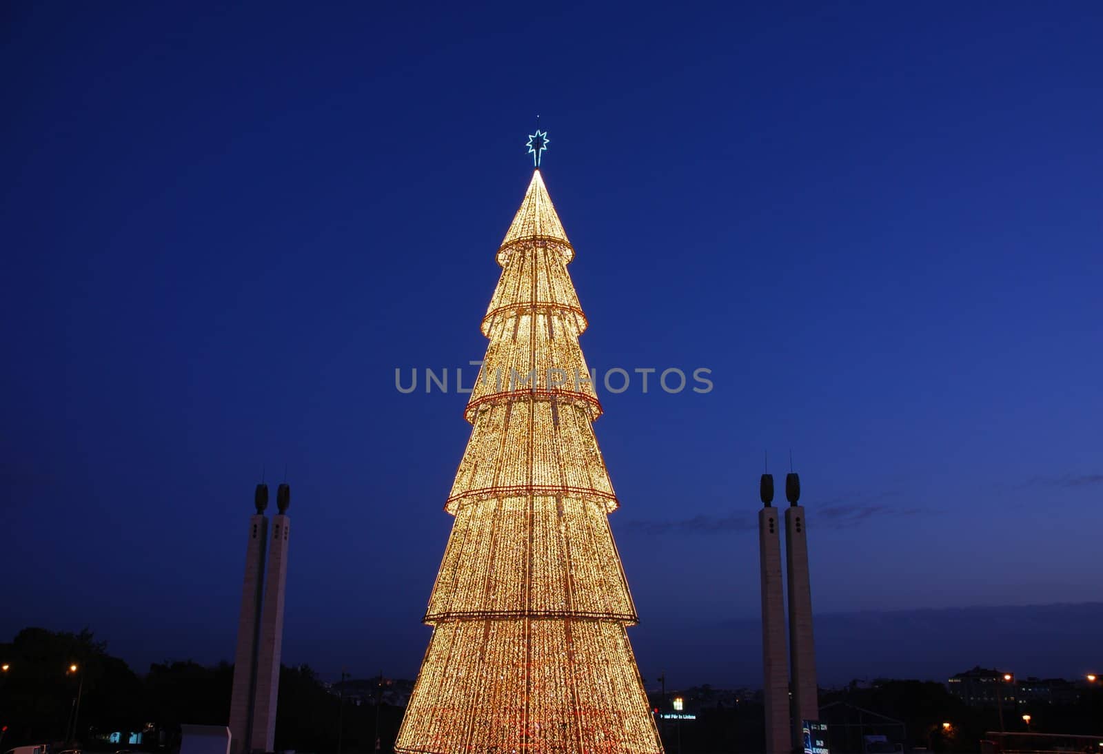 beautiful and tall Christmas tree in Lisbon