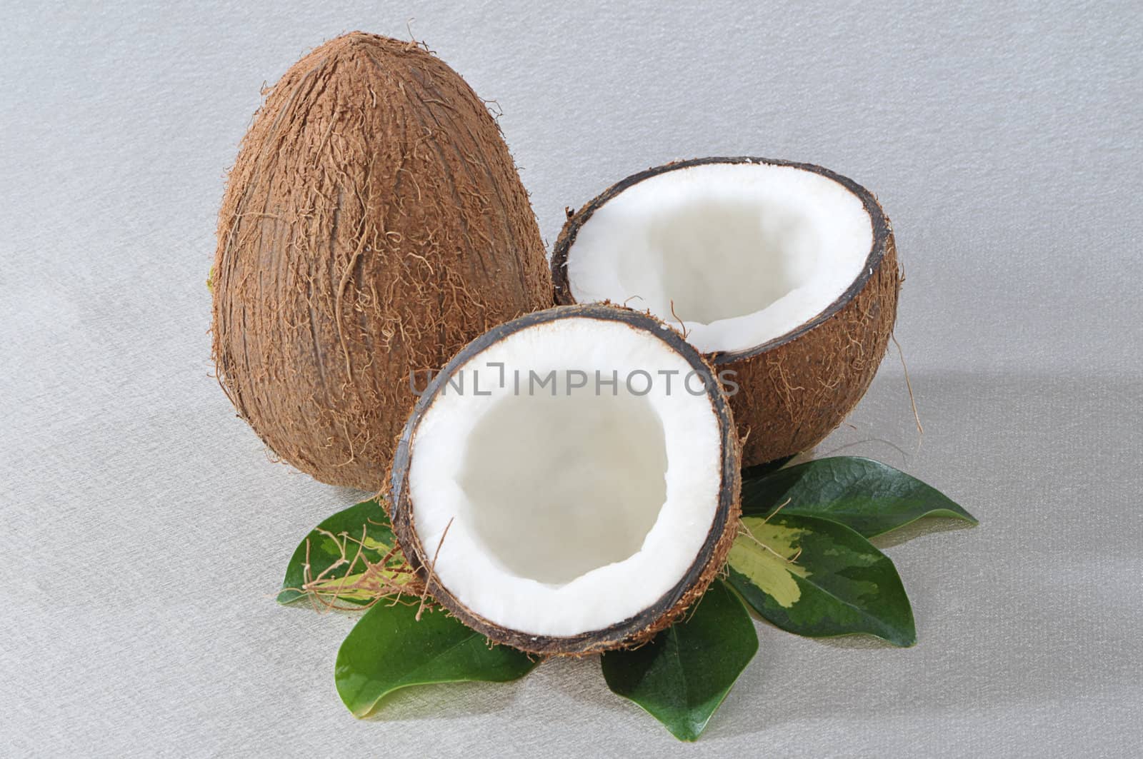 Broken coconut by dyoma