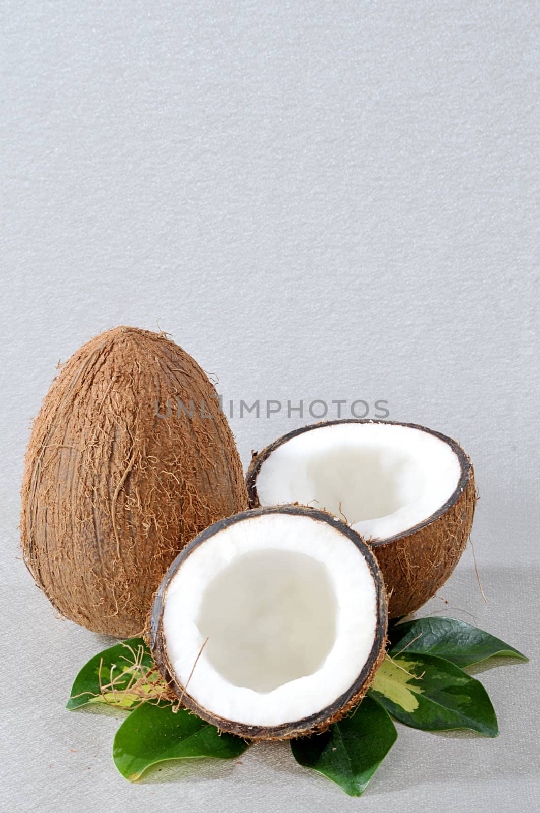 Broken coconut with green plant by dyoma