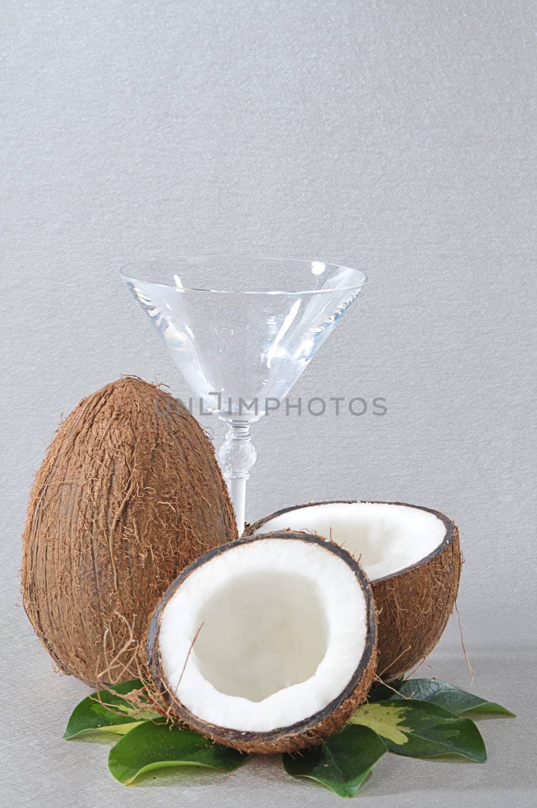 Broken coconut with green plant and empty glass