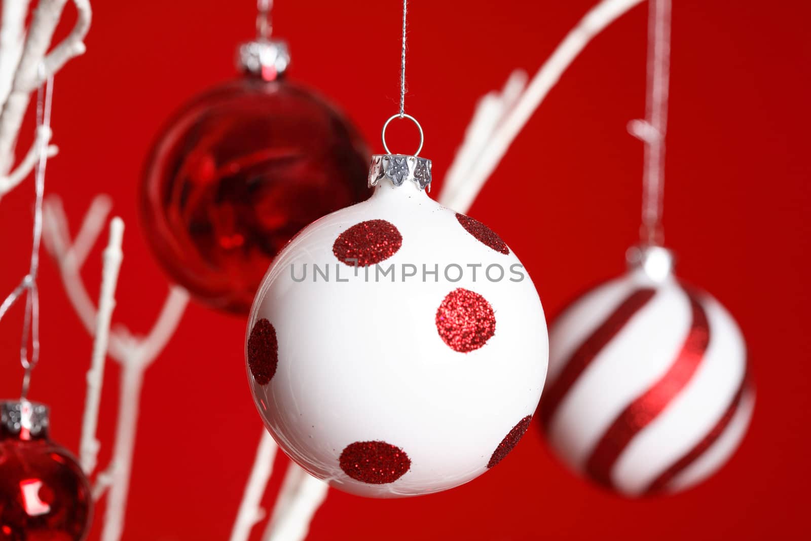 Christmas baubles hanging from white tree branches against a red backdrop - closeup. Specific focus to foreground ball.