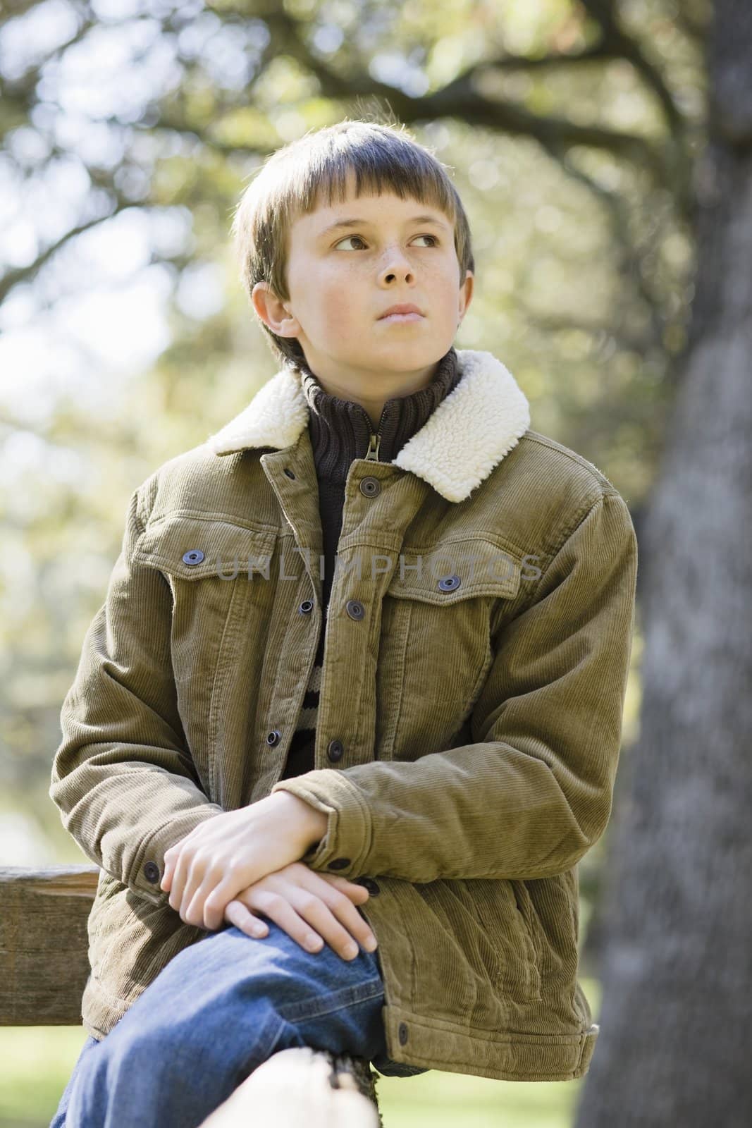 Portrait of a Cute Young Boy Sitting on a Wooden Railing Looking Up To The Sky