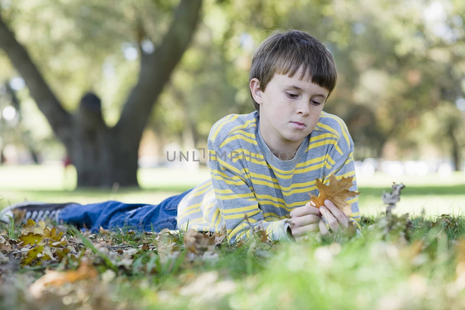 Young Boy Lying on Grass in Park Looking at a Leaf