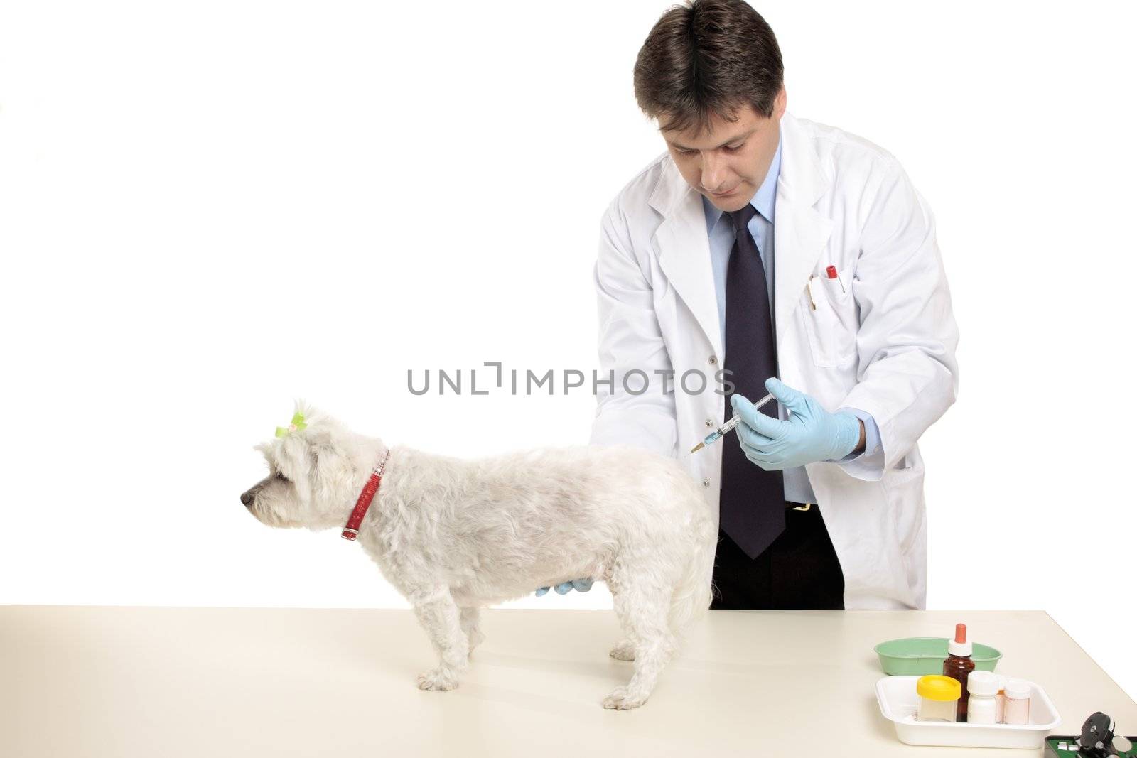 A vet gives a pet dog an injection.  Focus to hand and dog.  Space for copy