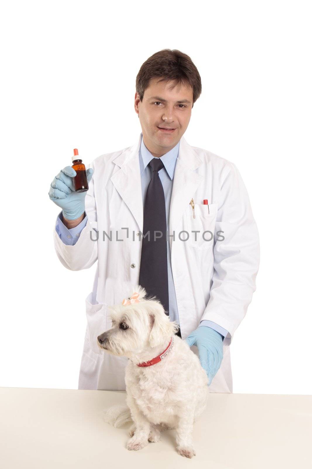 A vet showing a bottle of ointment, medicine, or other pharmaceutical remedy on a white background. 