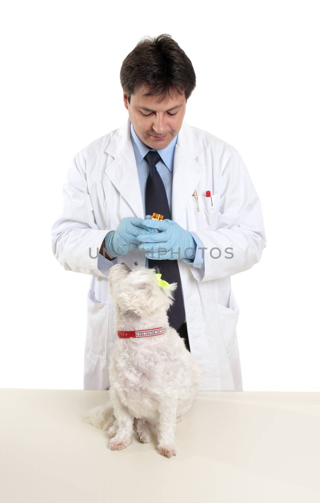Vet holding a bottle of prescription  pills ready to treat a pet dog