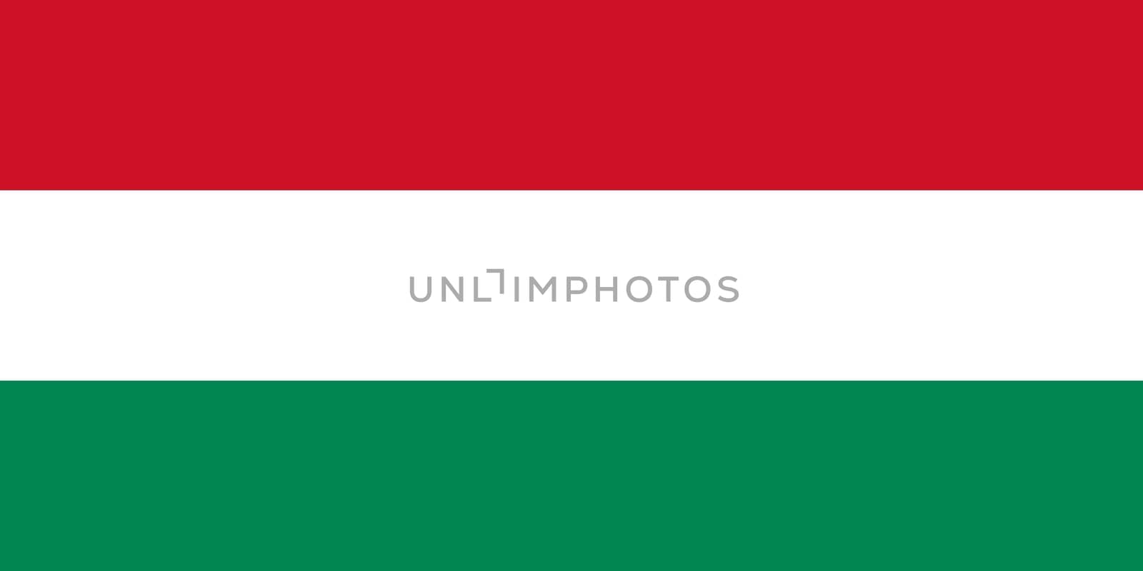 The national flag of Hungary by claudiodivizia