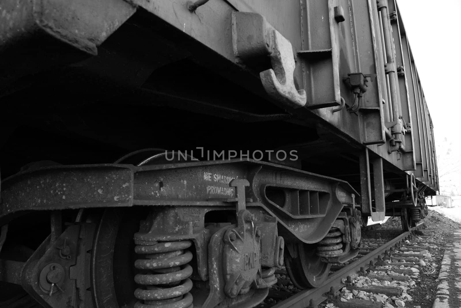 polish train