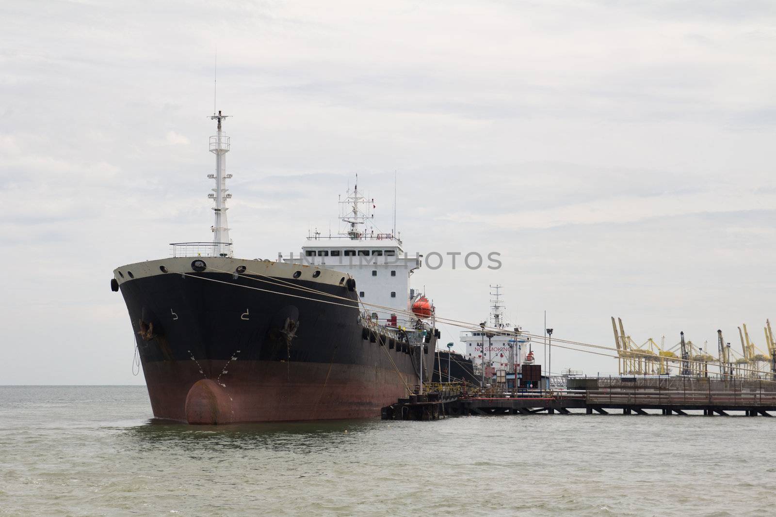 Container ship docked at the harbor