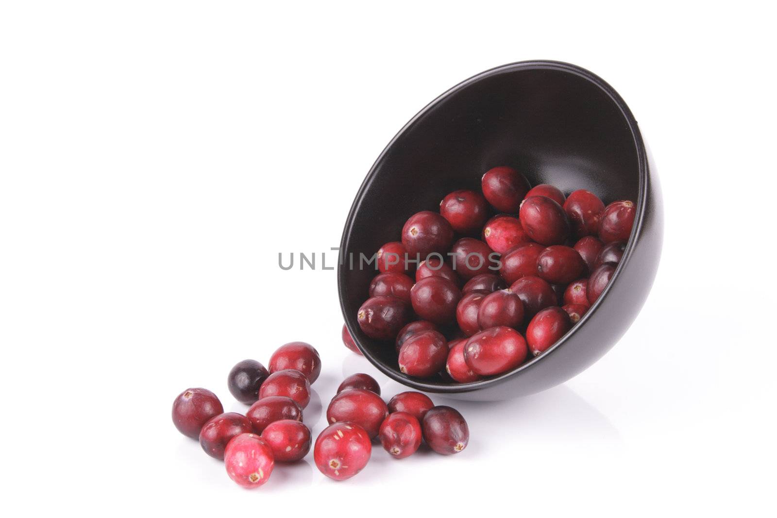 Red ripe cranberries spilling out of a small round black bowl on its side with a reflective white background